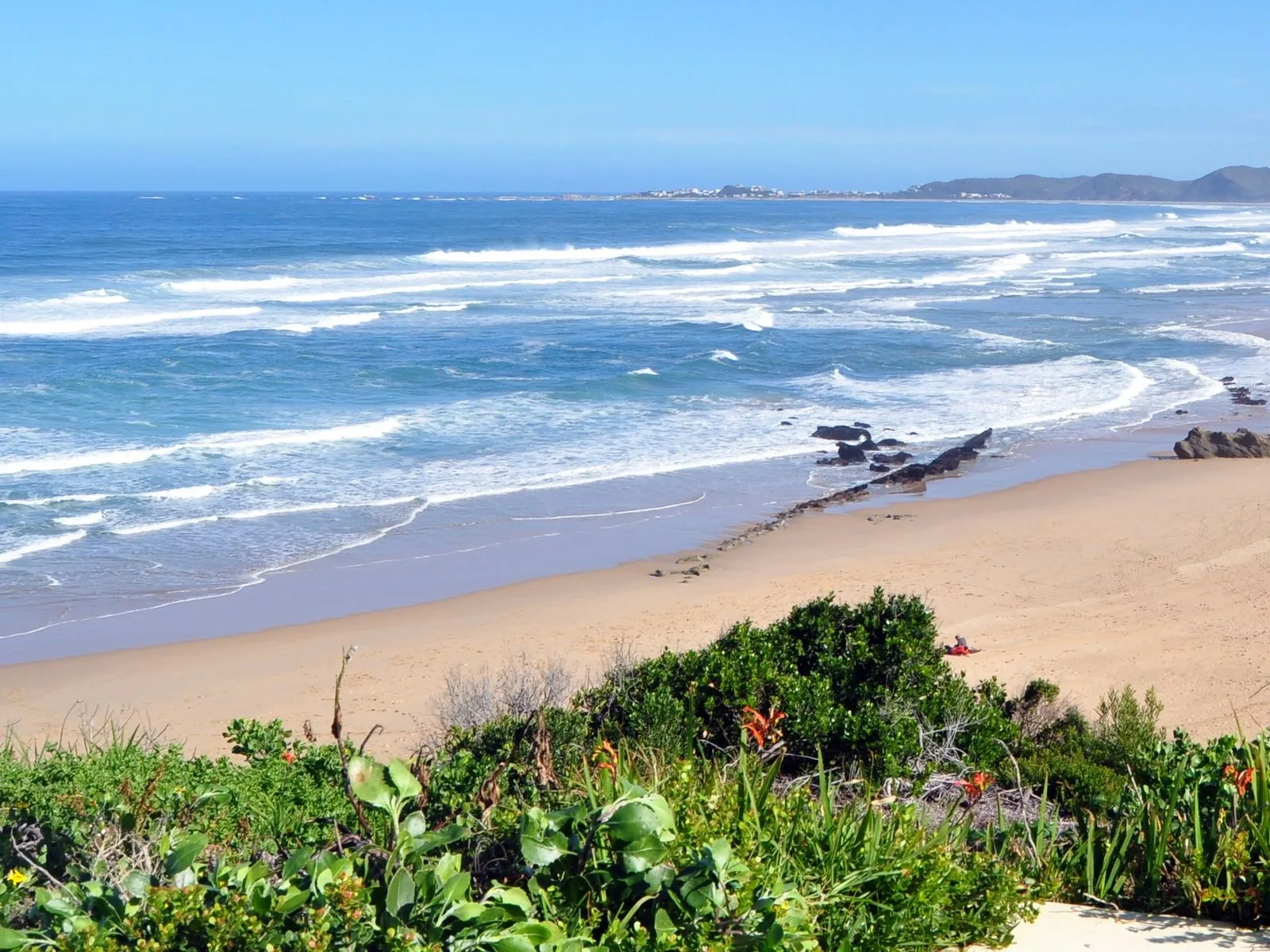 Does Knysna Have a Beach? Where the Swimmable Water Actually Is