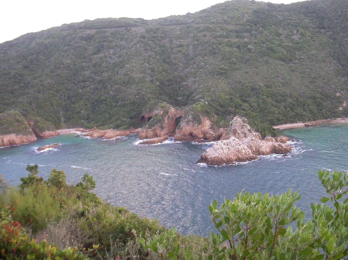 A steep headland covered in dense green coastal bush rising from blue-grey water, with reddish rock outcrops at the waterline, two dark cave mouths in the rock, and a large pale rock standing out in the water in front of them
