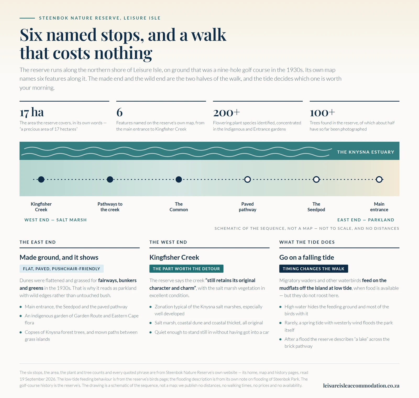 Infographic titled Six named stops, and a walk that costs nothing. A schematic strip shows the Knysna estuary along the top and six stops along a dotted walking line: Kingfisher Creek, pathways to the creek and the Common at the west end marked as salt marsh, then the paved pathway, the Seedpod and the main entrance at the east end marked as parkland. Four figures: 17 hectares, the area the reserve covers in its own words; 6 features named on the reserve's own map; 200 plus flowering plant species identified, concentrated in the Indigenous and Entrance gardens; 100 plus trees found in the reserve, of which about half have so far been photographed. Three columns. The east end is made ground: dunes were flattened and grassed for fairways, bunkers and greens in the 1930s, which is why it reads as parkland with wild edges, and it holds the main entrance, the Seedpod, the paved pathway, an indigenous garden of Garden Route and Eastern Cape flora, and copses of Knysna forest trees. The west end is Kingfisher Creek, which the reserve says still retains its original character and charm, with salt marsh vegetation in excellent condition and zonation typical of the Knysna salt marshes. The third column is what the tide does: migratory waders and other waterbirds feed on the mudflats off the island at low tide but do not roost there, high water hides the feeding ground, and rarely a spring tide with a westerly wind floods the park itself. A note states the drawing is a schematic of the sequence, not a map, not to scale and with no distances.