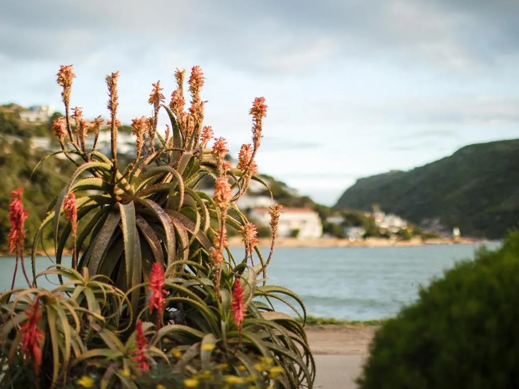 Amanzi Island Boutique Hotel — photo 5 of 14