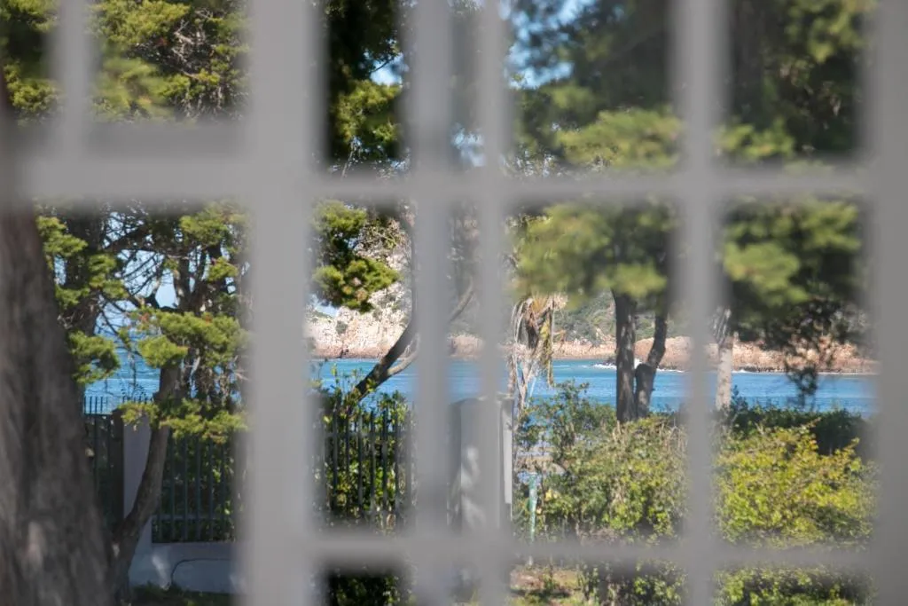 Coastal Calm Retreat — photo 4 of 14